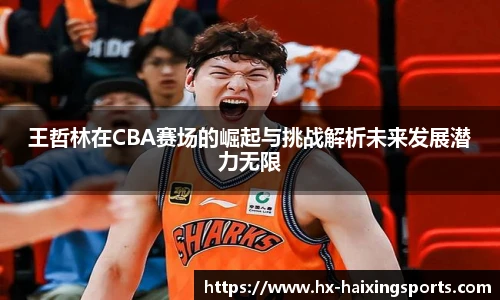 王哲林在CBA赛场的崛起与挑战解析未来发展潜力无限